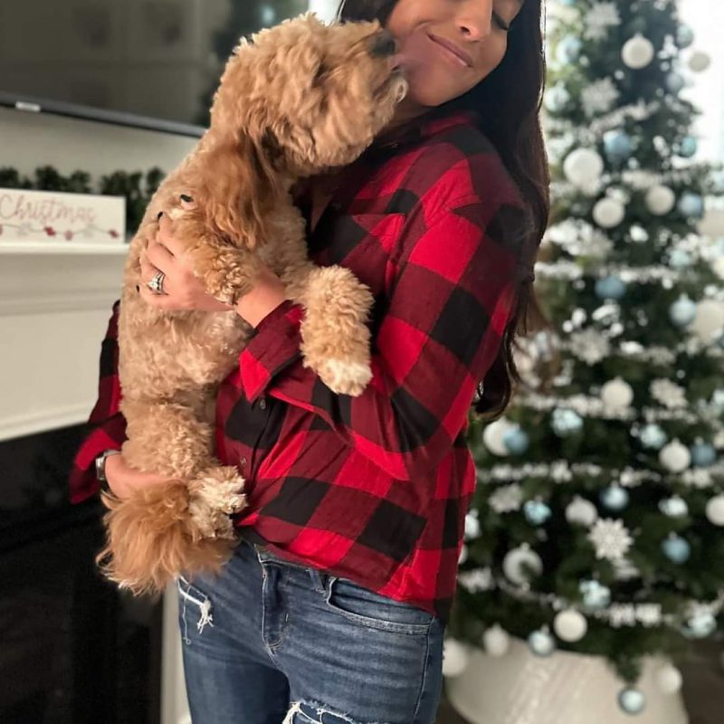 A Mini Island Doodles puppy in their forever home